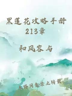 黑蓮花攻略手冊213章