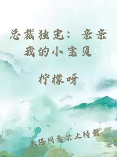 總裁獨寵：親親我的小寶貝