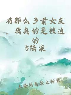 有那么多前女友，我真的是被迫的