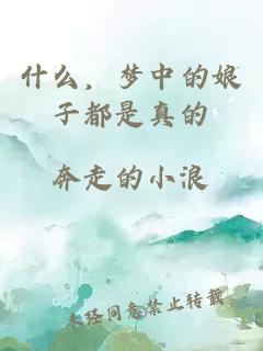 什么，夢中的娘子都是真的