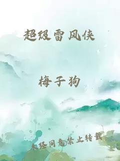 超級雷風俠