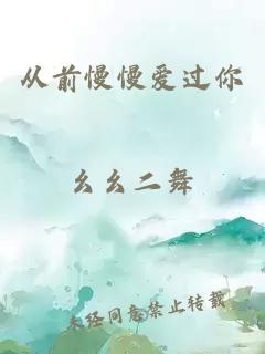 從前慢慢愛過你